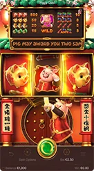 api77 · Piggy Gold